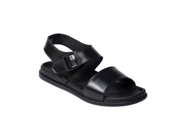 ELLORA B7005